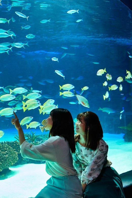 Tokyo: Sunshine Aquarium Entry Ticket - Booking access is easier with the paid ticket