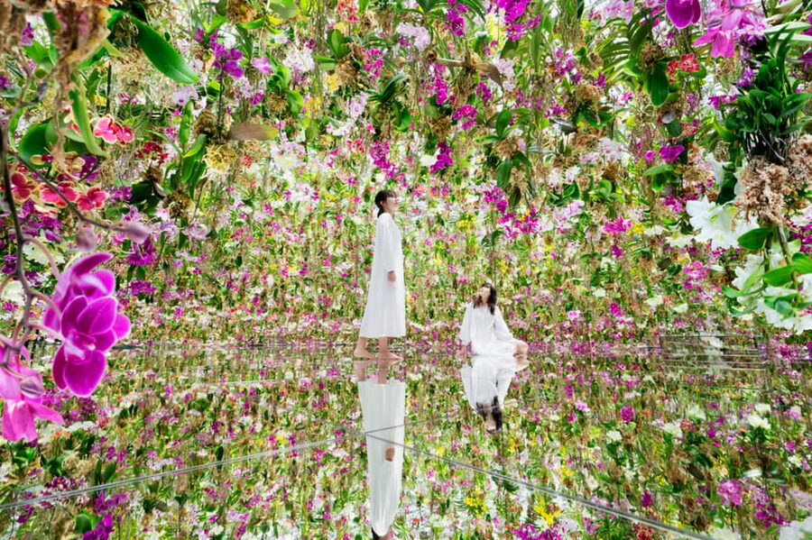 Tokyo: teamLab Planets TOKYO Digital Art Museum Entry Ticket - What teamLab Planets actually feels like