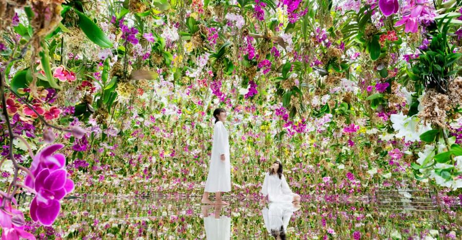 Tokyo: teamLab Planets TOKYO Digital Art Museum Entry Ticket - Flowers, falling petals, and the slower rooms