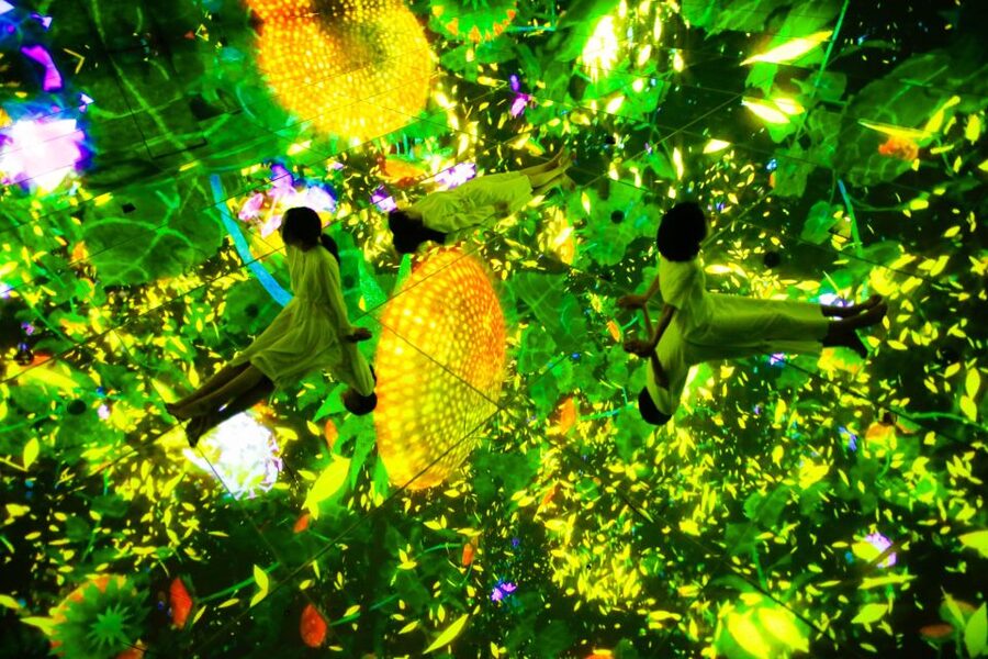 Tokyo: teamLab Planets TOKYO Digital Art Museum Entry Ticket - The garden gives you a pause from the screens