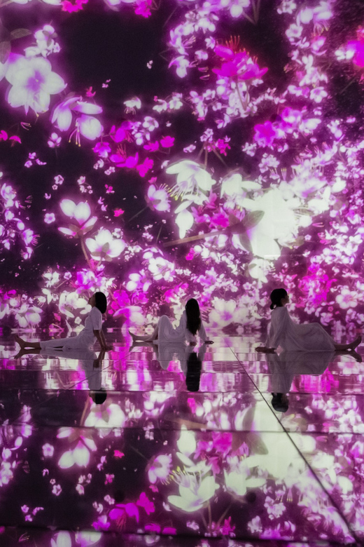 Tokyo: teamLab Planets TOKYO Digital Art Museum Entry Ticket - Timing, queues, and the outdoor wait