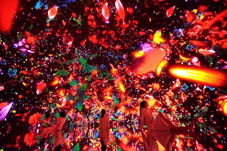 Tokyo: teamLab Planets TOKYO Digital Art Museum Entry Ticket - The $25 price and what you get