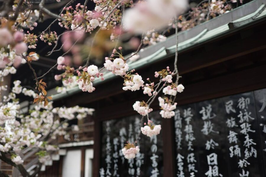 Tokyo to Kawagoe: Private Historical Day Trip - Penny Candy Lane and the sweet potato theme