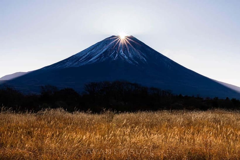 Tokyo To Mount FUJI Day Trip With English guide - Why this private Fuji day works well from Tokyo
