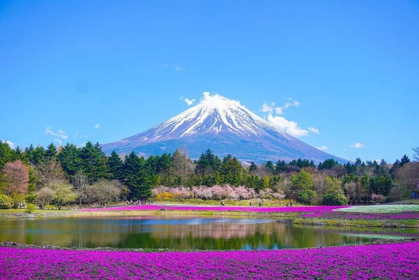 Tokyo To Mount FUJI Day Trip With English guide - Oshino Hakkai brings old Japan into view