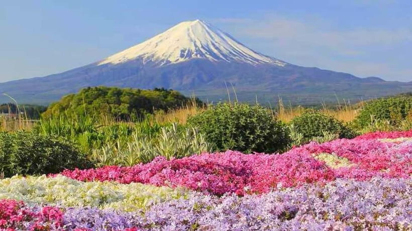 Tokyo To Mount FUJI Day Trip With English guide - Oishi Park is made for the classic Fuji photograph