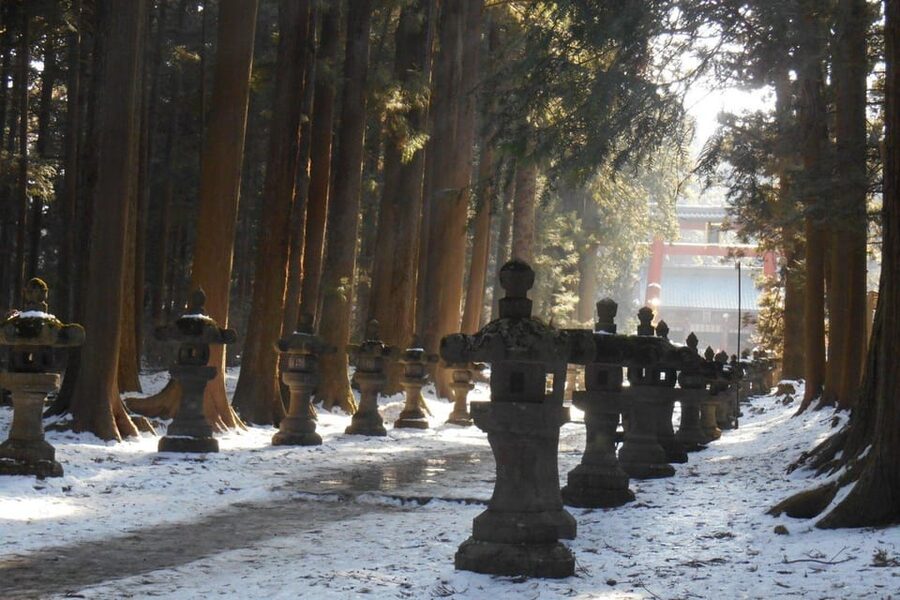 Tokyo To Mount FUJI Day Trip With English guide - Arakurayama Sengen Park delivers the postcard view