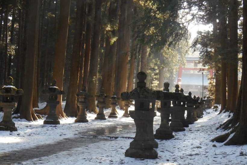 Tokyo To Mount FUJI Day Trip With English guide - Gotemba Premium Outlets changes the mood