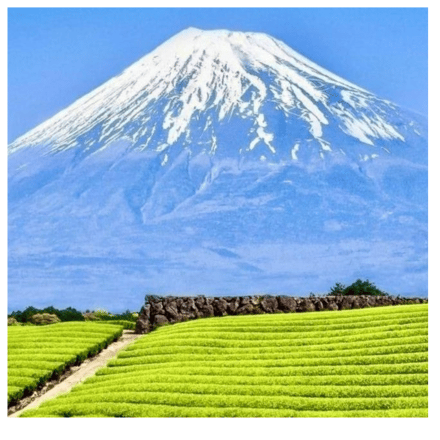 “Tokyo to Mt. Fuji & Hakone: Private Customizable Day Trip” - Key points to know before booking