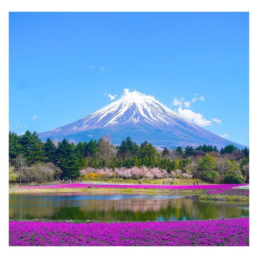 “Tokyo to Mt. Fuji & Hakone: Private Customizable Day Trip” - Lake Kawaguchiko and the Fuji Five Lakes area