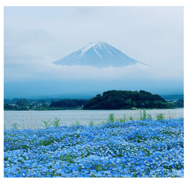“Tokyo to Mt. Fuji & Hakone: Private Customizable Day Trip” - Hakone, Lake Ashi, and the ropeway