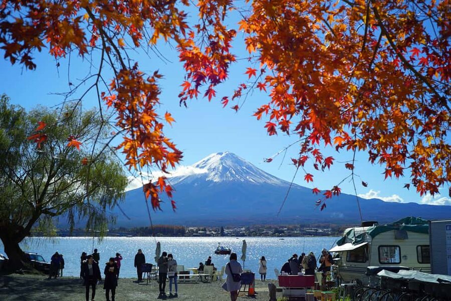 “Tokyo to Mt. Fuji & Hakone: Private Customizable Day Trip” - Lunch and the cost of extras