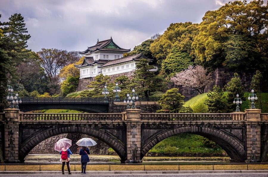 Tokyo: Tokyo Private Day Tour With Guide - Meiji Shrine: forest, torii gates, and quiet customs