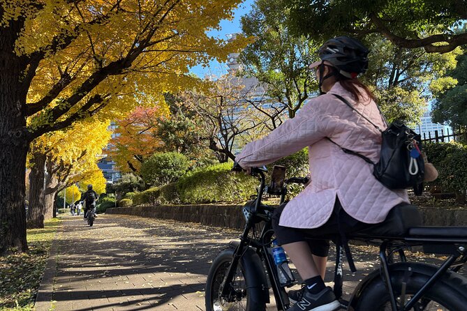 Tokyo Top Highlights 3h Guided E-bike Tour - Rules that matter before you arrive