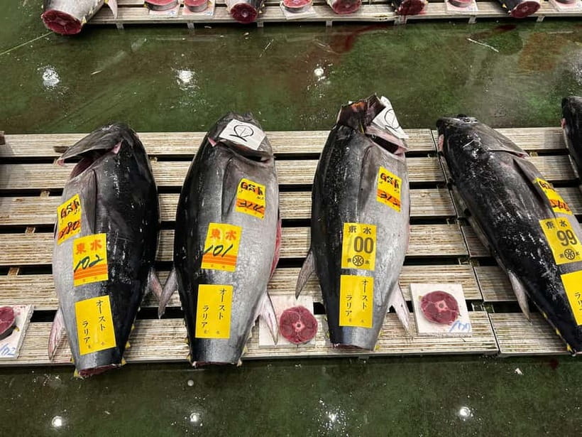 Tokyo Toyosu Tuna Auction + Breakfast (Sushi Dai or Bentomi) - Why Toyosu’s tuna auction matters
