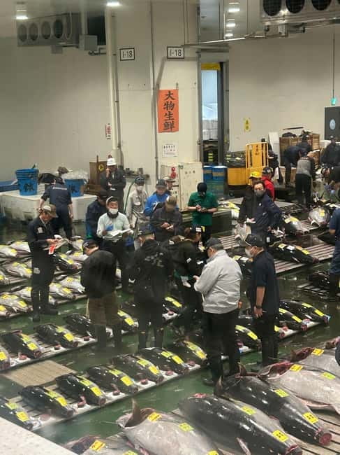 Tokyo Toyosu Tuna Auction + Breakfast (Sushi Dai or Bentomi) - Who will enjoy this early market visit?