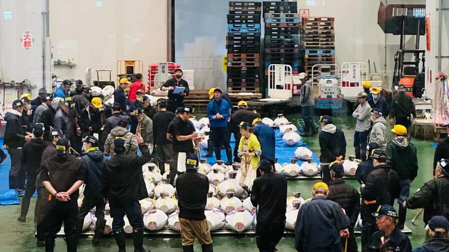 Tokyo: Toyosu Tuna Auction &Tsukiji Market Gourmet Adventure - What the $122 price really buys