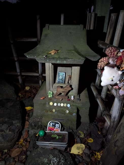 Tokyo: True Crime And Ghost Stories Tour - Tokyo’s dark side, told on foot