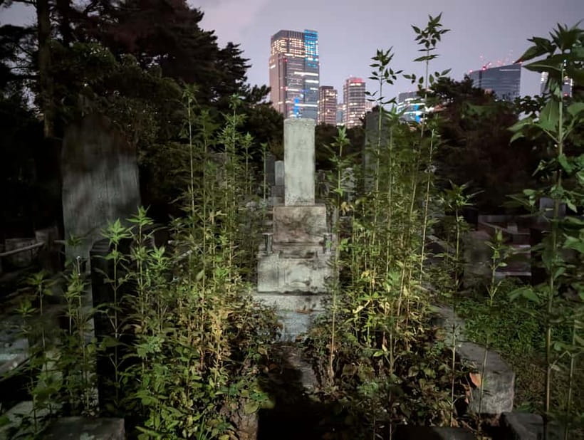 Tokyo: True Crime And Ghost Stories Tour - How John shapes the experience