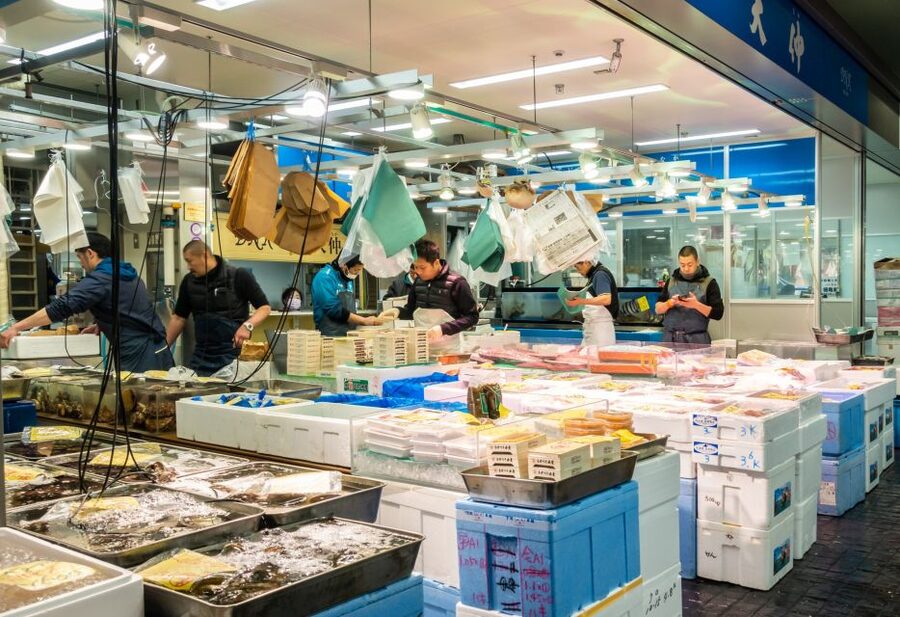Tokyo Tsukiji Food & Culture Private Tour Licensed Guide - Toyosu Market: Tokyo’s Modern Seafood Center