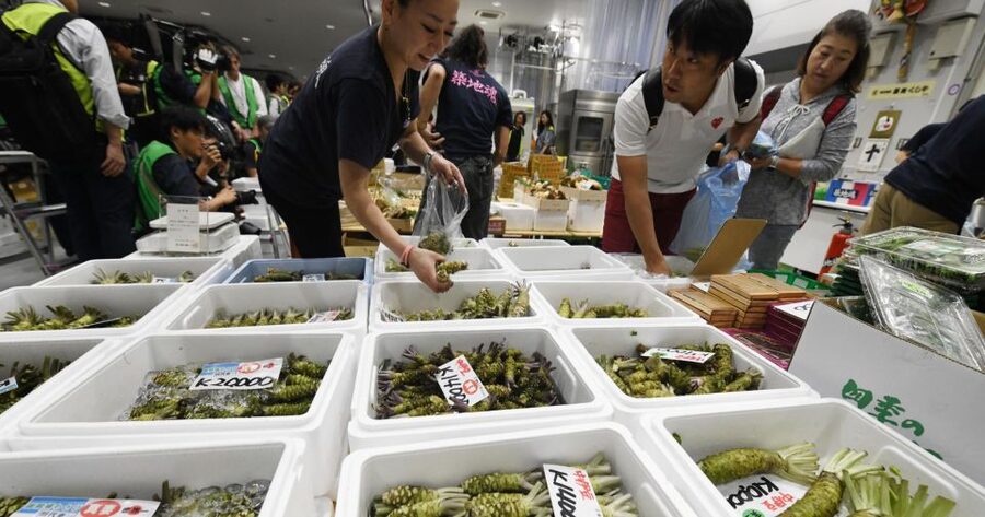 Tokyo Tsukiji Food & Culture Private Tour Licensed Guide - Transport, Walking, and Weather
