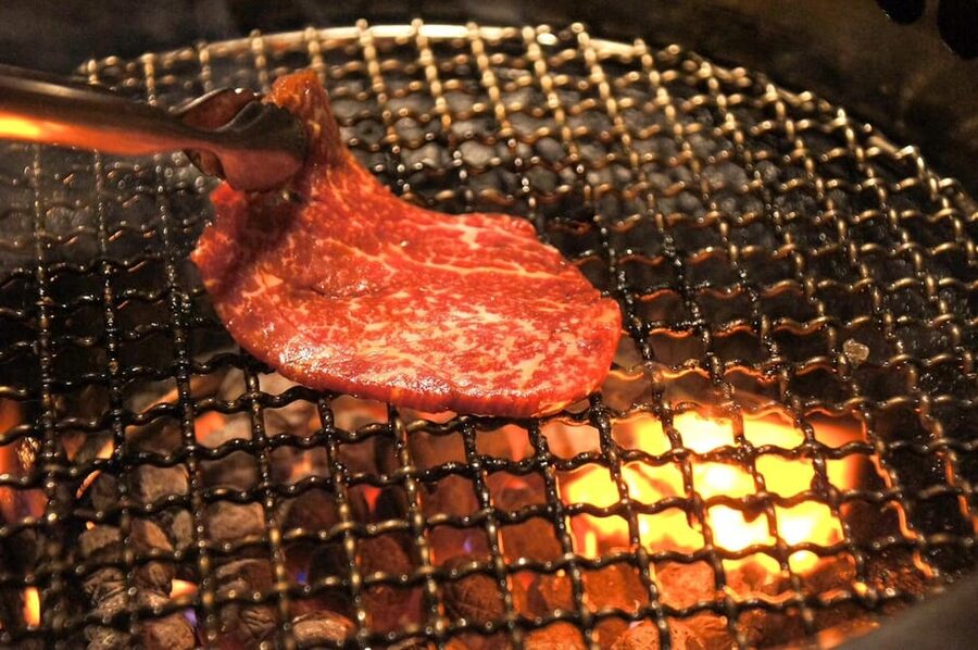 Tokyo: Wagyu and Sushi Gastronomic Journey - Omoide Yokocho and the small-scale side of dinner