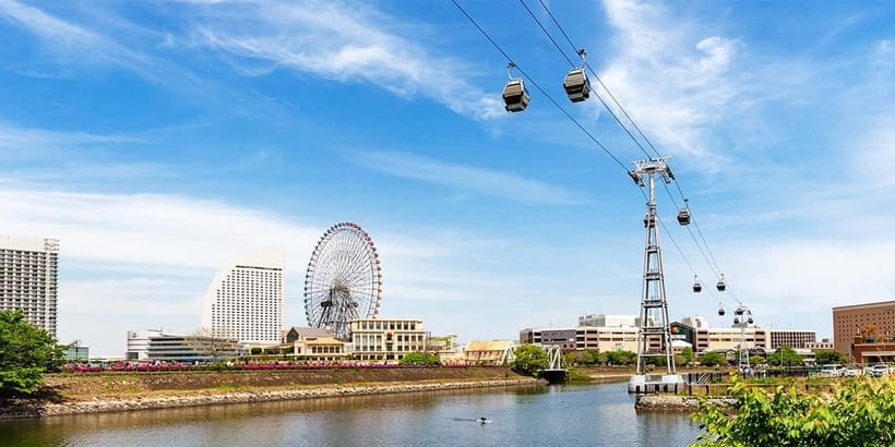 Tokyo Yokohama Night View Tour With Kamakura And Enoshima - Guide quality, group pace, and practical comfort