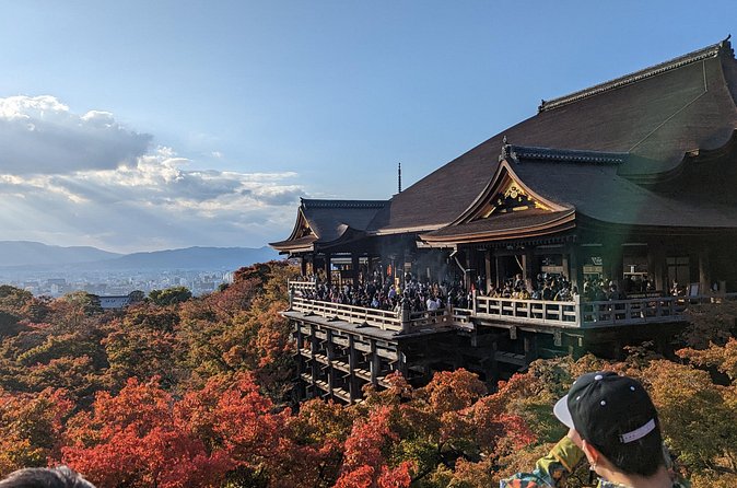 Tour in Kyoto with a Goverment Certified Tour Guide - Nijo Castle adds samurai-era power to the day