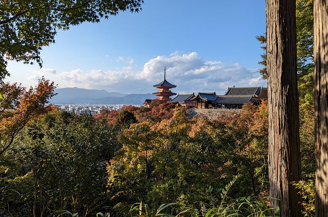 Tour in Kyoto with a Goverment Certified Tour Guide - Gion gives you old Kyoto without the fantasy