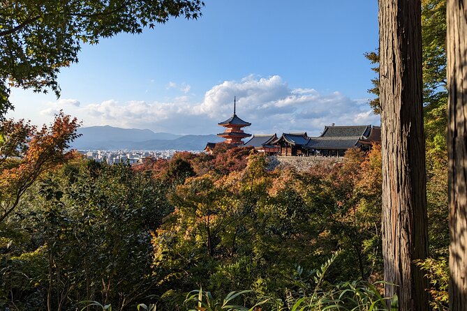 Tour in Kyoto with a Goverment Certified Tour Guide - Kiyomizu-dera brings hillside views and heavy crowds