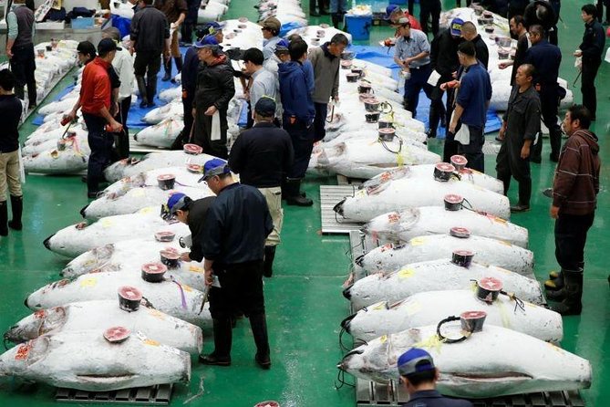 Toyosu Market Morning Tuna Auction and Tsukiji Food Tour with Licensed Guide - Why Toyosu’s Tuna Auction Is Worth the Alarm