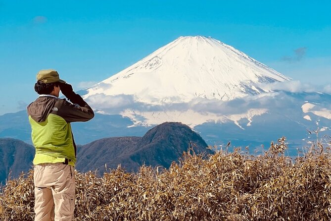 Traverse Outer Rim of Hakone Caldera and Enjoy Onsen Hiking Tour - The 90-minute climb to the outer rim