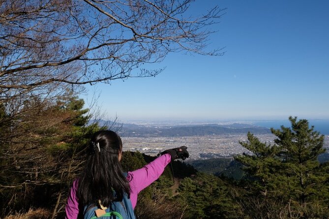Traverse Outer Rim of Hakone Caldera and Enjoy Onsen Hiking Tour - What the $158.13 price includes, and what it does not