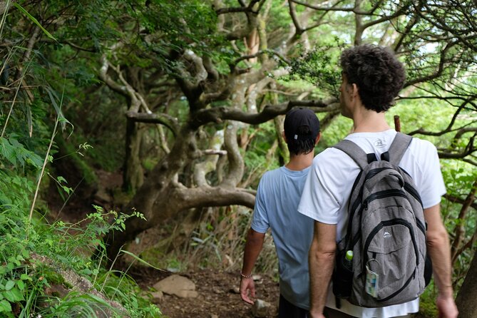 Traverse Outer Rim of Hakone Caldera and Enjoy Onsen Hiking Tour - Weather, seasons, and the Fuji question