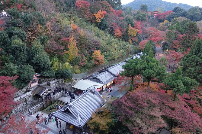 TREASURES of Kyoto: Fushimi Inari, Kiyomizu Temple, and more! - Taxis make the four-hour plan work