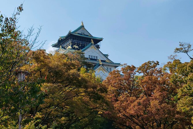 Ultimate Osaka Walking Tour: Castle, Dotonbori & Hidden Gems - What this Osaka walking tour really covers