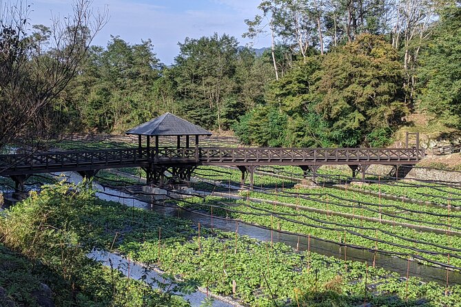 Wasabi Farm Walking Tour & Lunch - Why a wasabi farm is worth your morning