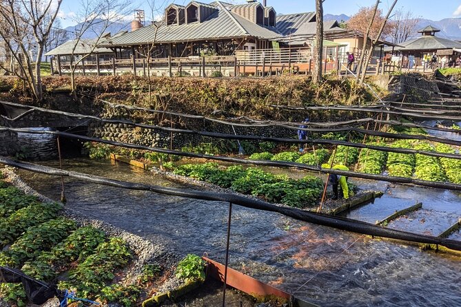 Wasabi Farm Walking Tour & Lunch - Who will enjoy this experience most