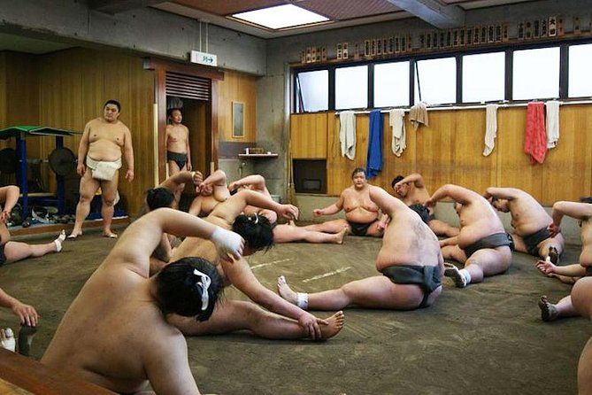 Watch Sumo Morning Practice at Stable in Tokyo - Floor seating, sightlines, and comfort