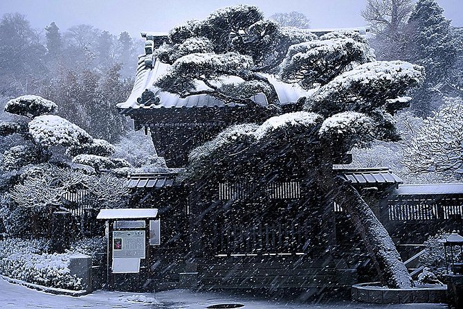 When Emperors Reigned and Shoguns Ruled - Komachidori for snacks and modern Kamakura
