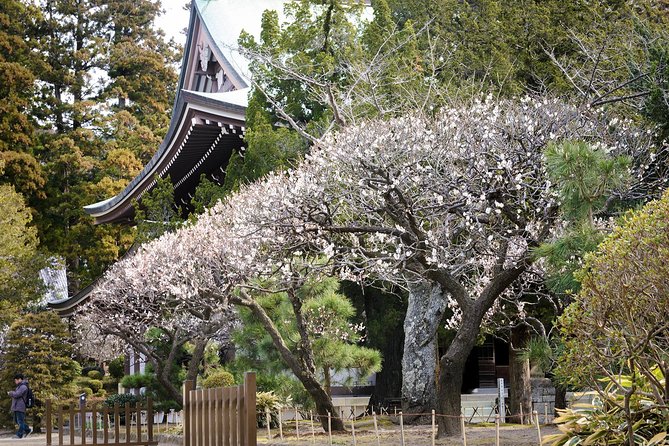 When Emperors Reigned and Shoguns Ruled - Hasedera’s gardens, caves, and Kannon