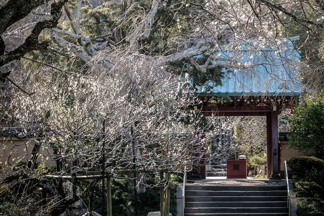 When Emperors Reigned and Shoguns Ruled - Finishing at Hase Station