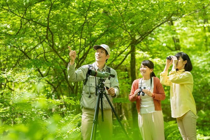 Wild Bird Sanctuary Forest Guided Tour in Nagano - Key points at a glance