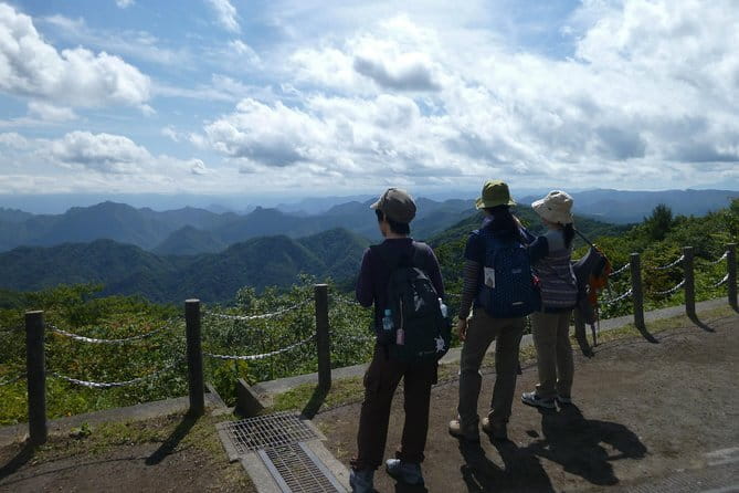 Wild Bird Sanctuary Forest Guided Tour in Nagano - Weather, seasons, and sensible expectations