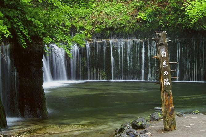 Wild Bird Sanctuary Forest Guided Tour in Nagano - Who should book this nature walk