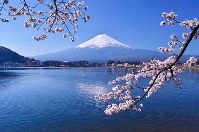 Winter Special: Clear View Mt. Fuji E-Bike Tour - Fuji’s spring water at Yusui Park