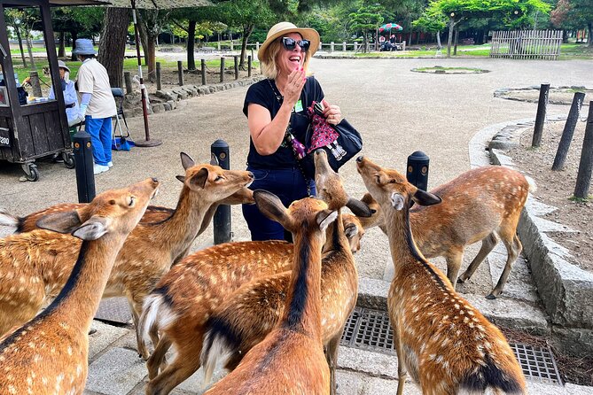 World Heritage Kyoto & Nara Uji Authentic Matcha Experience - Key points at a glance