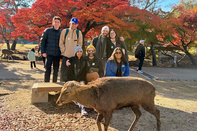 World Heritage Kyoto & Nara Uji Authentic Matcha Experience - Why this Nara and Uji combination works